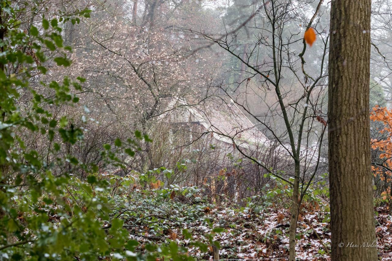 Villa De Hagmolenbeek Boekelo Exterior foto